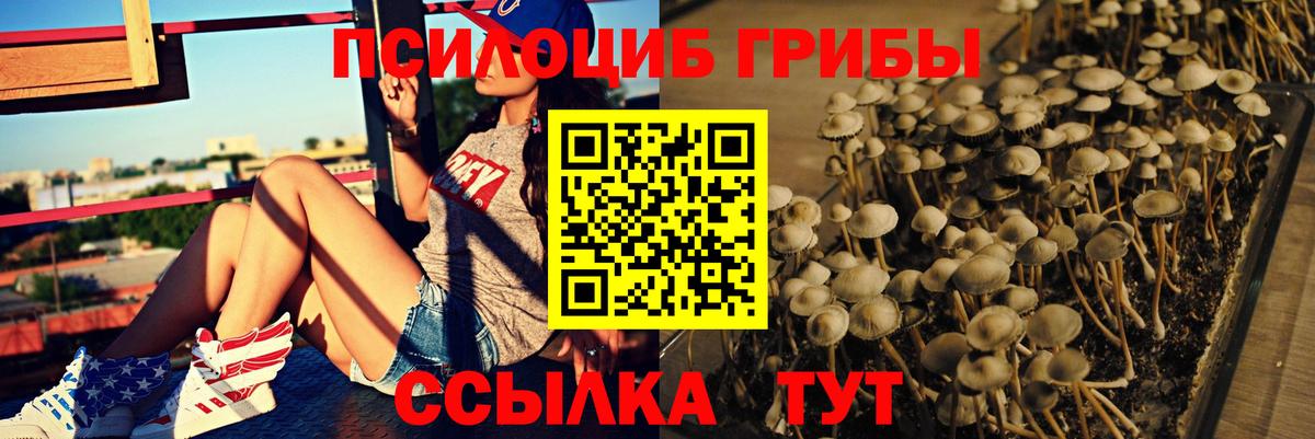 Псилоцибиновые грибы GOLDEN TEACHER  Псилоцибиновые грибы GOLDEN TEACHER  Вход с VPN  Шатура 